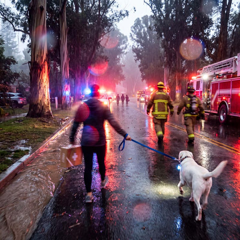  A dog owner holds Preppi's The Pupster Dog Emergency Kit in one hand and a dog leash on the other.  It appears to be after an earthquake of flood.  A firefighter in full gear walks down a wet, rain-slicked street at night, with emergency vehicles and flashing red and blue lights in the background.
